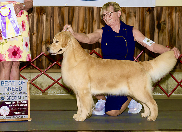 sea glass goldens skye gch